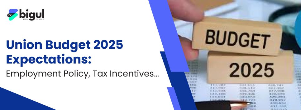 Union Budget 2025 Expectations